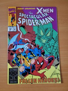 Spectacular Spider-Man #199 Direct Market Edition ~ NEAR MINT NM ~ 1993 Marvel 