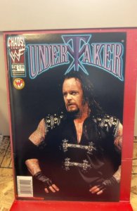 Undertaker #5 Variant Cover (1999)
