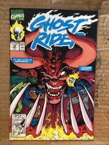 Ghost Rider #19 (1991)