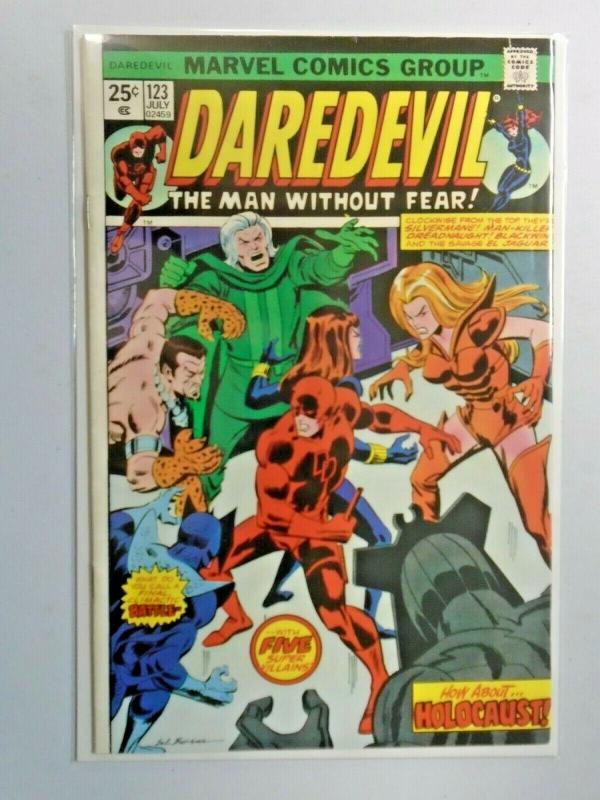 Daredevil #123 1st Series 6.0 FN (1975)