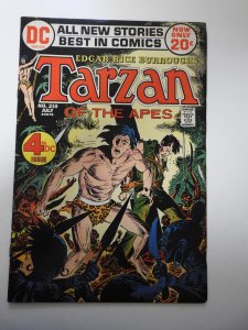 Edgar Rice Burroughs' Tarzan #210 (1972)