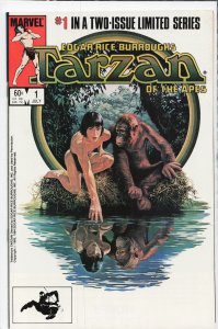 Tarzan of the Apes #2 (1984) Tarzan