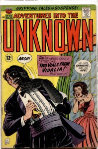 Adventures Into the Unknown #169 (1966)