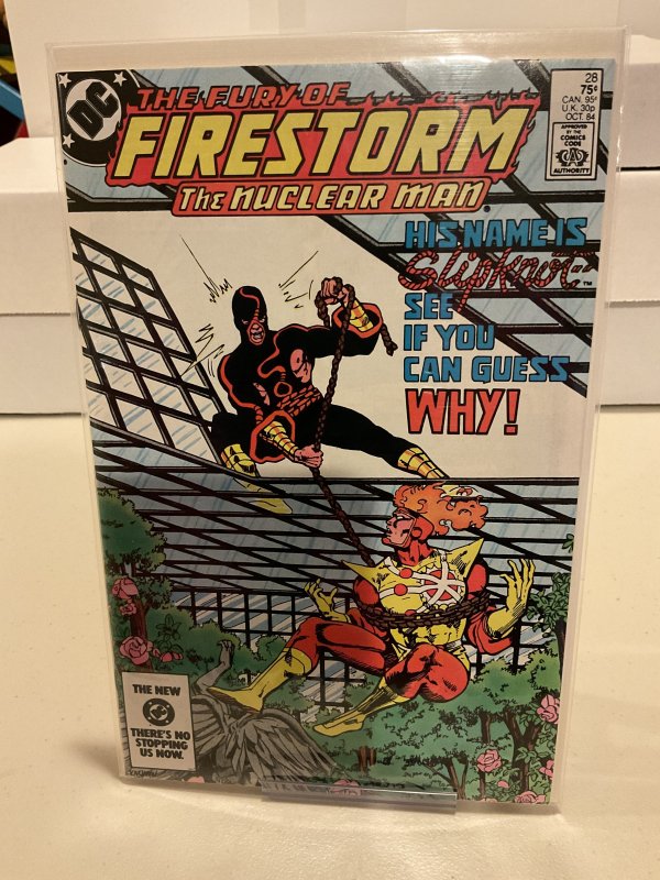 Fury of Firestorm #28  1984  9.0 (our highest grade)  1st App Slipknot!