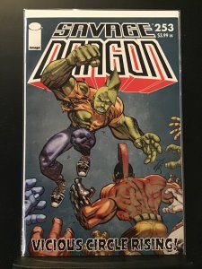 Savage Dragon #253 (2020)