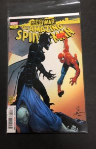 The Amazing Spider-Man #42  (2024)