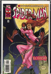 The Spectacular Spider-Man #241 (1996) Spider-Man