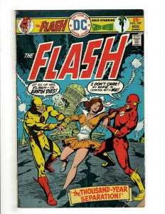 10 The Flash DC Comics 224 227 228 230 231 233 234 235 236 237 Barry Allan J461