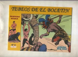 Los Tebeos de El Boletin numero 008: Pantera Negra numero 6: Acosados en el v...