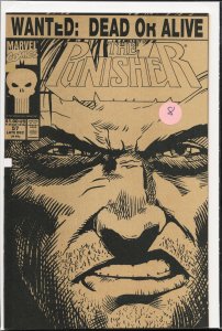 The Punisher #57 (1991) Punisher