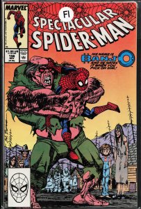 The Spectacular Spider-Man #156 (1989) Spider-Man