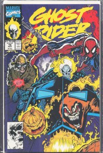 Ghost Rider #16 (1991) Ghost Rider
