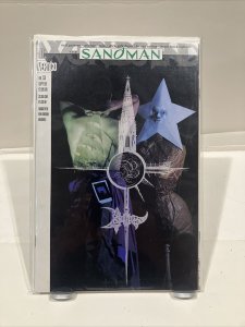 The Sandman 53