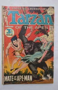 Edgar Rice Burroughs' Tarzan #209 (1972) FN- 5.5 Joe Kubert cover