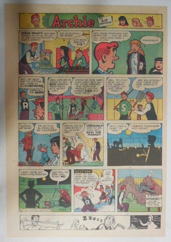 Archie Sunday by Bob Montana from 4/20/1952 Very Early! Tabloid Size Color Page!