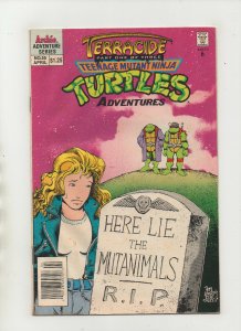 Teenage Mutant Ninja Turtle Adventures #55 - Tombstone Cover - (Grade 4.0) 1994