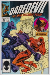 Daredevil #248 (1987) Daredevil [Key Issue]