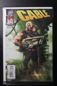 Cable #18 (2009)