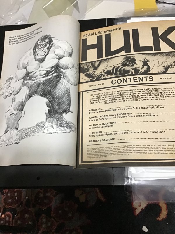 Hulk! #26 (1981) Gene Colan artwork! High-grade! VF/NM high-grade white cover!