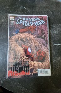 The Amazing Spider-Man #44 (2020)