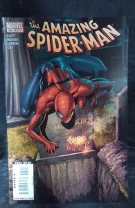 The Amazing Spider-Man #581 (2009)