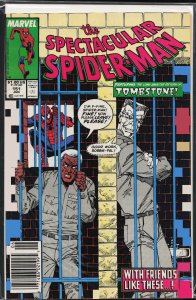 The Spectacular Spider-Man #151 (1989) Spider-Man