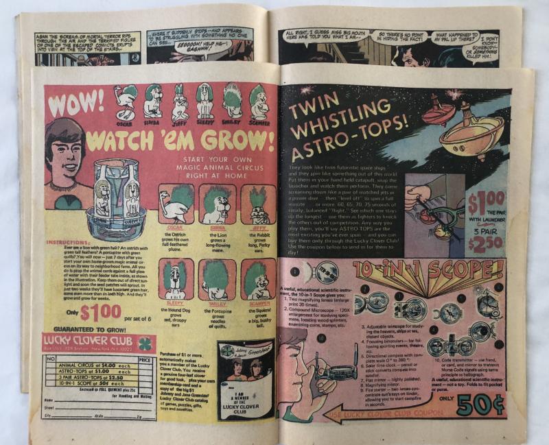 WONDER WOMAN - VOLUME 1 - ISSUE #195 (1971) - DC Comics