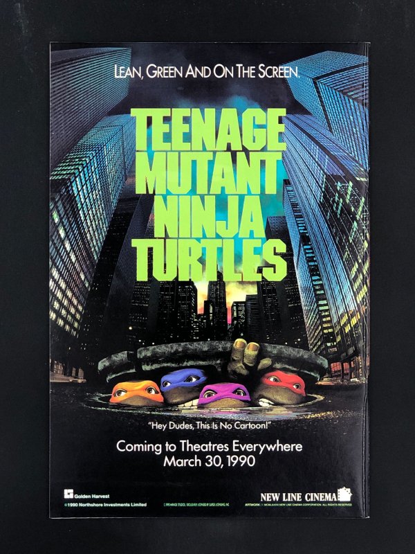 Teenage Mutant Ninja Turtles #28 (1990)