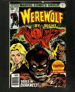 Werewolf By Night #40