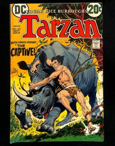 Tarzan (1972) #212