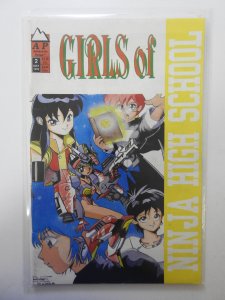 Girls of Ninja High School #2 (1992)