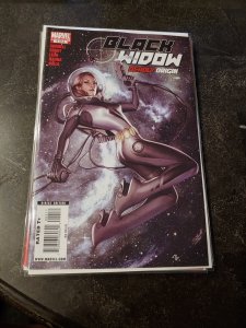 Black Widow: Deadly Origin #4 (2010)