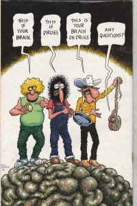 Fablous Furry Freak Brothers #12 (1992) High-Grade 1st Print, Fat Freddy! VF/NM!