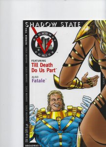 Shadow State #2 (1996)