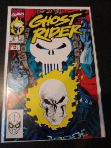 GHOST RIDER #6 PUNISHER ISSUE