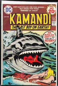 Kamandi, the Last Boy on earth #23 (1974) Kamandi