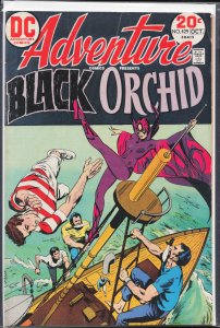 Adventure Comics #429 (1973) Black Orchid