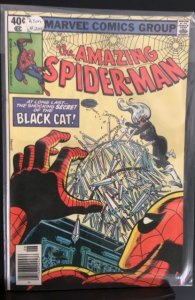 The Amazing Spider-Man #205 (1980)