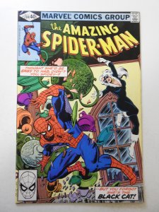 The Amazing Spider-Man #204 (1980) FN Condition!
