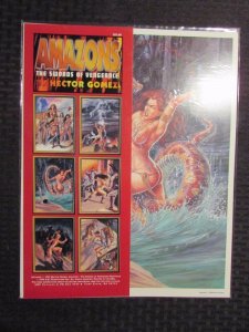1994 AMAZONS Swords of Vengeance Portfolio Hector Gomez 6 Prints 11x14 NM 9.4