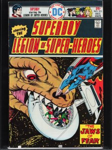 Superboy #213 (1975)