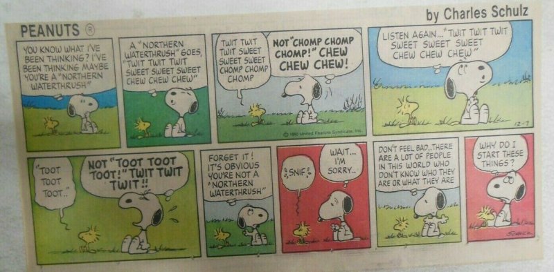 (49) Peanuts Sunday Pages by Charles Schulz from 1980 Size: ~7.5 x 14 inches  