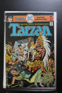 Tarzan #242 (1975)
