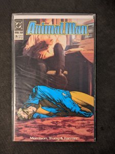 Animal Man #26 (1990) Animal Man