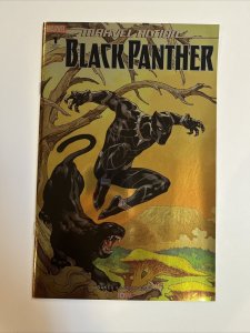 Marvel Action Black Panther (2019) # 1 (NM) 1:100 RI-D Variant