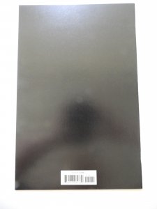 The Amazing Spider-Man #12 (2019) VF/NM Condition