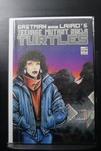 Teenage Mutant Ninja Turtles #11 (1987)