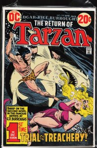 Edgar Rice Burroughs' Tarzan #219 (1973)