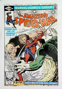 Amazing Spider-Man (1963 series)  #217, NM- (Actual scan)