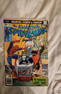 The Amazing Spider-Man #162 (1976) Spider-Man 